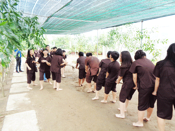 DSC00376.gif